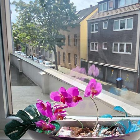 Elena Flat Orchidee Duisburg Zentrum 외부 사진