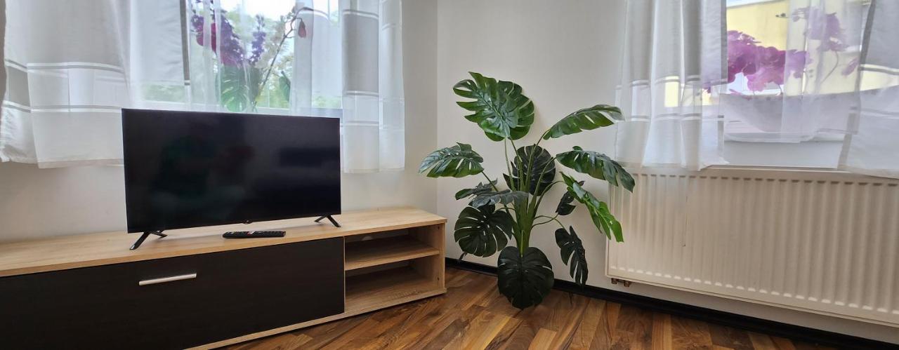 Elena Flat Orchidee Duisburg Zentrum 외부 사진