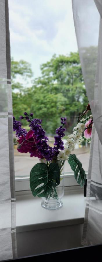 Elena Flat Orchidee Duisburg Zentrum 외부 사진